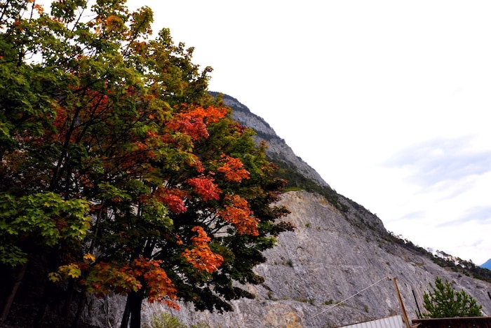Der Herbst präsentiert sich in wunderbaren Farben.