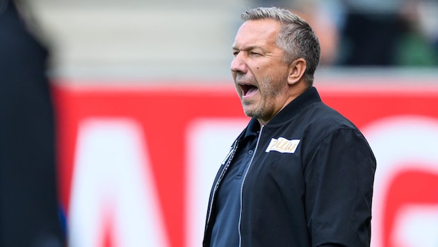 Hartberg-Trainer Manfred Schmid