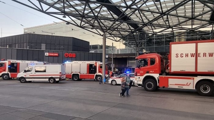Die Berufsrettung Wien sowie die Feuerwehr waren mit einer großen Zahl an Einsatzkräften vor ...