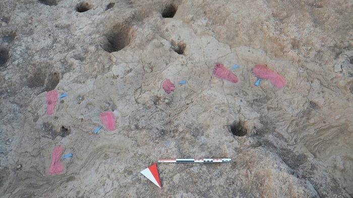 Die Fußabdrücke (rosa markiert) sind rund 7000 Jahr alt.