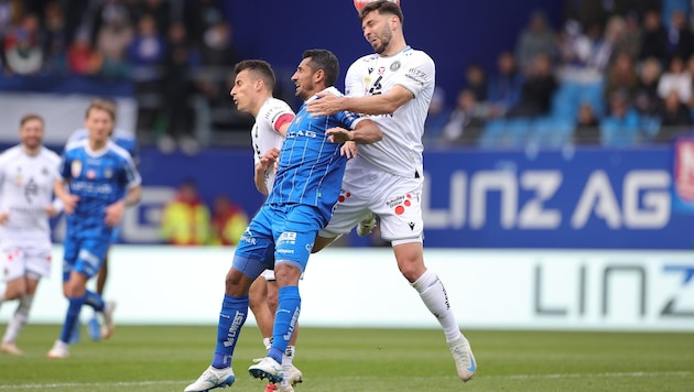 Die Austria duelliert sich mit Blau-Weiß Linz.
