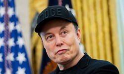 Tech-Milliardär Elon Musk hat eine Alternative zu Wikipedia an den Start gebracht.