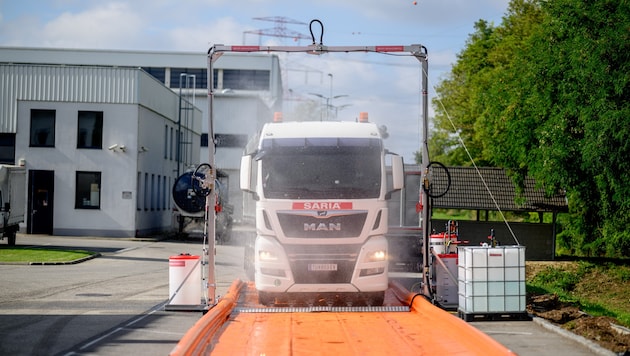 Wenn ein Fahrzeug Tierleichen transportiert, kann durch eine Desinfektion von oben bis unten ein ...