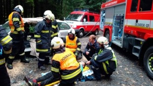 Zehn Kilometer voneinander entfernt, machen tschechische und Waldviertler Wehr gemeinsame Sache.