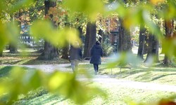 Die Sonne hat es vereinzelt schwer, aber zum Wochenende hin zeigt sie sich häufiger.