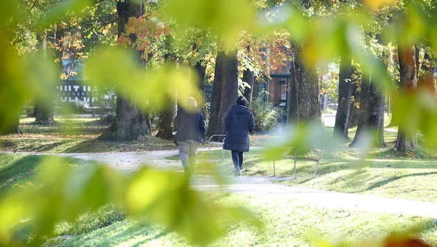 Spaziergänge in der Sonne werden kommende Woche selten möglich sein.
