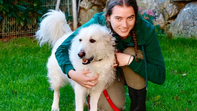 „Rocky“ ist der Liebling vieler der engagierten Betreuer im Grazer Landestierheim.