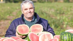 Ernst Aschauer (64) sitzt auf 15.000 voll ausgereiften Melonen, die ihm aber der Großhandel ...