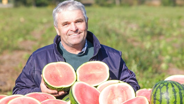 Ernst Aschauer (64) sitzt auf 15.000 voll ausgereiften Melonen, die ihm aber der Großhandel ...