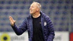 Admira-Coach Thomas Silberberger