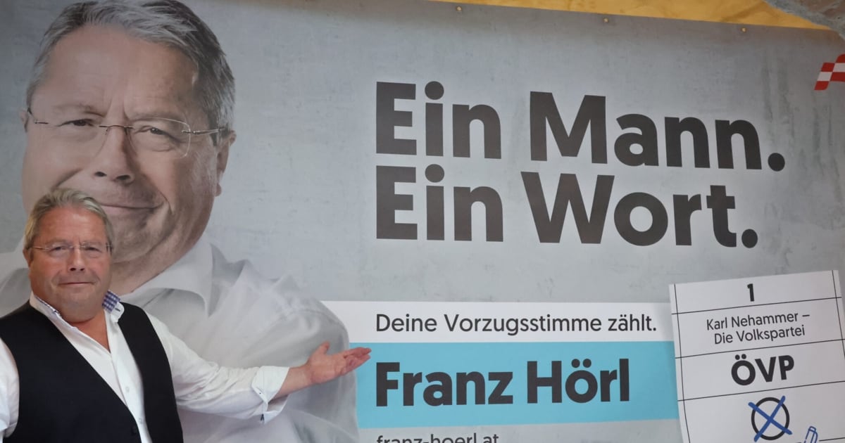Hörls Offenheit lässt tief in die Politik blicken