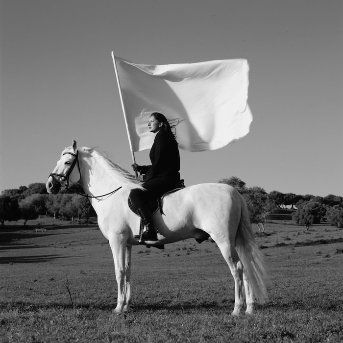 Grande Dame auf dem hohen Ross: Abramović’ Video in „The Hero“ (2001)