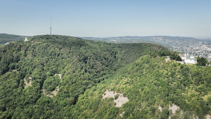 Wiens Berge: Der Trassenverlauf der Seilbahn auf den Kahlenberg ist entlang des Leopoldsbergs ...