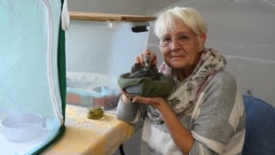 Michaela Dworak betreibt seit sieben Jahren die „Vogelhilfe Kärnten“.