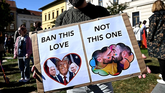 Dieser Demonstrant zeigt, welche Art von Liebe zwischen Männern seiner Ansicht nach verboten ...