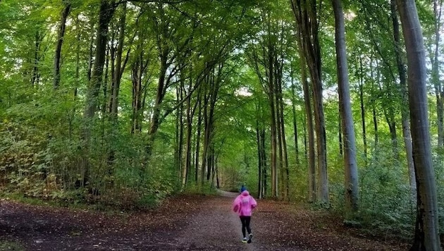 Extremsportlerin Shamita Achenbach-König lief von Wien nach Oslo. Manchmal waren die Wege so ...