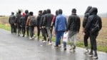 Illegale Einwanderer im Burgenland (Archivbild) – ein Trojanisches Pferd sei nach Europa ...