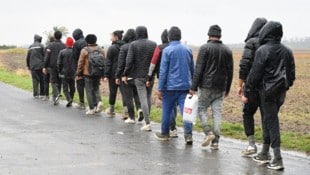 Illegale Einwanderer im Burgenland (Archivbild) – ein Trojanisches Pferd sei nach Europa ...