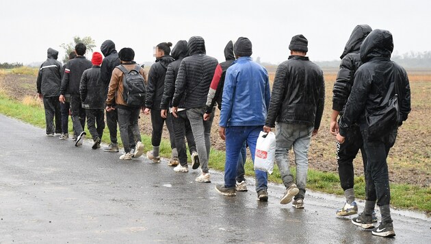 Illegal immigrants in Burgenland (archive photo) - a Trojan horse was let into Europe, it was ...