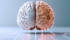 Die Wissenschaftler entwickelten laut Eigenangaben die ersten künstlichen Neuronen, die direkt ...