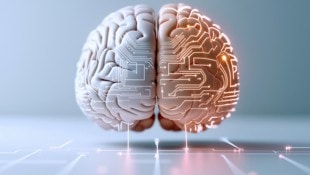 Die Wissenschaftler entwickelten laut Eigenangaben die ersten künstlichen Neuronen, die direkt ...