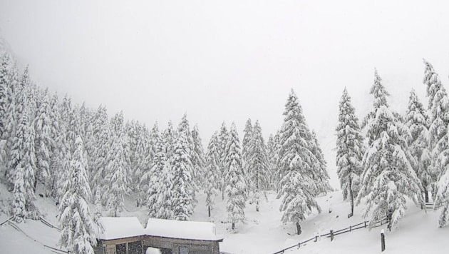 Schnee rund um die Klagenfurter Hütte: Der Sonntag brachte einen Wintereinbruch.