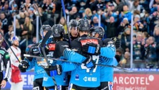 196 Tage Pause sind genug: Die Black WIngs starten in die neue Saison.