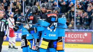 Die Black Wings jubeln gegen Salzburg.