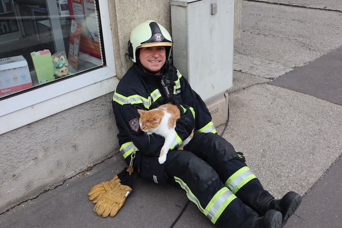 Ein Feuerwehrmann hat die gerettete Katze fest im Griff.