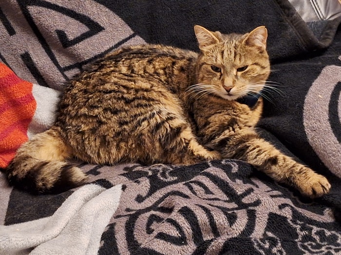 Wer hat Monty gesehen?