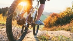 Der Traum vom neuen Rad kann mit einer Leasing-Variante leichter realisiert werden.