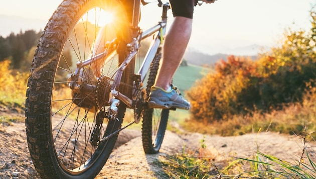 Der Traum vom neuen Rad kann mit einer Leasing-Variante leichter realisiert werden.
