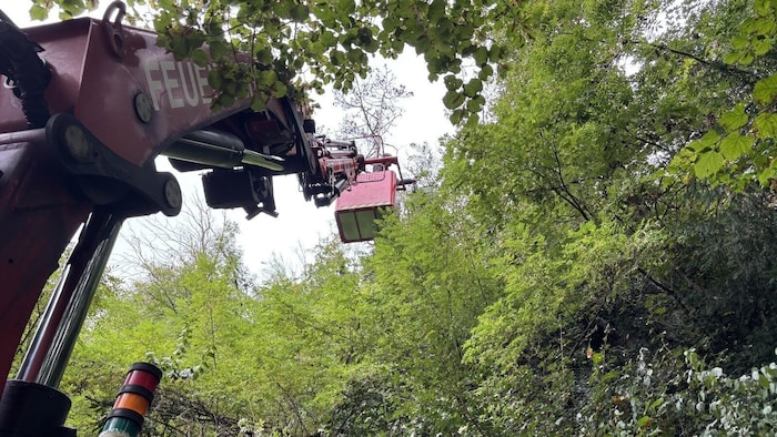 Erst mit schwerem Gerät kamen die Helfer zum vermissten Vierbeiner.