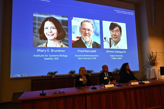 Mary Brunkow, Fred Ramsdell und Shimon Sakaguchi wurden für ihre bahnbrechenden Entdeckungen zur ...