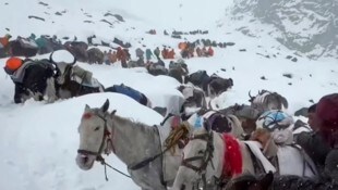 Hunderte Wanderer konnten von Bergungstrupps aus den Schneemassen befreit werden.