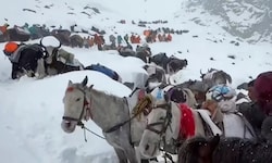 Hunderte Wanderer konnten von Bergungstrupps aus den Schneemassen befreit werden.