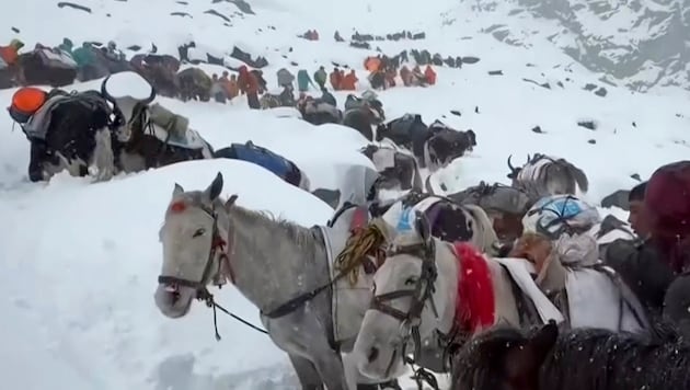 Hunderte Wanderer konnten von Bergungstrupps aus den Schneemassen befreit werden.