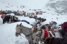 Hunderte Wanderer konnten von Bergungstrupps aus den Schneemassen befreit werden.