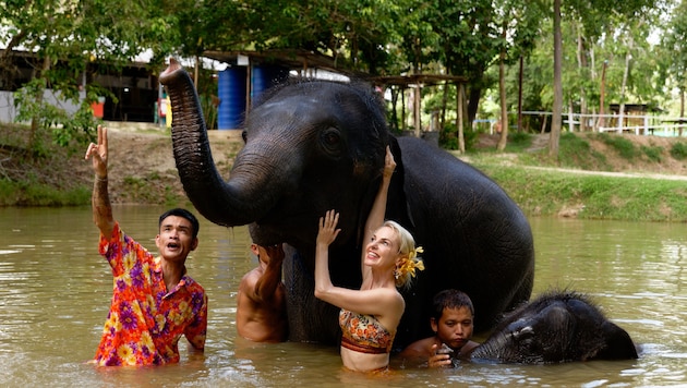 Derzeit dreht Silvia Schneider mit ihrem Team für eine ORF-Sendung in Thailand. Dafür ging die ...