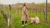 Pia Strehn mit einem ihrer beiden Golden Retriever im Weingarten.