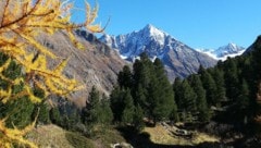 Der „Goldene Herbst“ macht sich zögerlich auf den Weg – hier der Blick von der Nisslalm in Gries ...