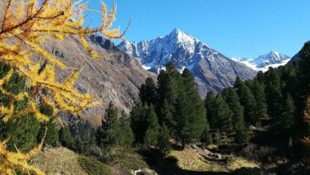 Der „Goldene Herbst“ macht sich zögerlich auf den Weg – hier der Blick von der Nisslalm in Gries ...
