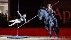 Vertrauen, Geschick und ganz viel Staunen