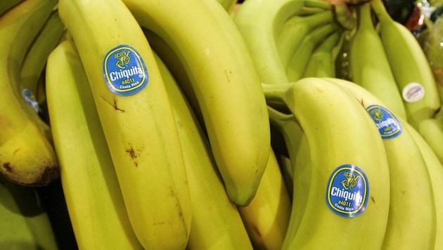 Italien wird zum Bananenland – der Chiquita-Konzern startet ein außergewöhnliches Projekt.