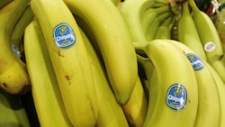 Italien wird zum Bananenland – der Chiquita-Konzern startet ein außergewöhnliches Projekt.