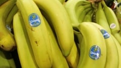 Italien wird zum Bananenland – der Chiquita-Konzern startet ein außergewöhnliches Projekt.