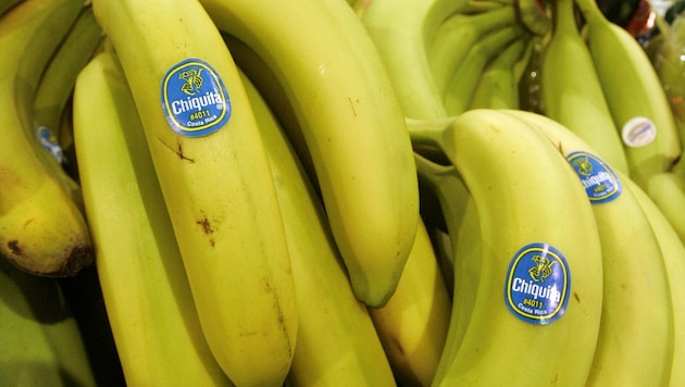 Italien wird zum Bananenland – der Chiquita-Konzern startet ein außergewöhnliches Projekt.
