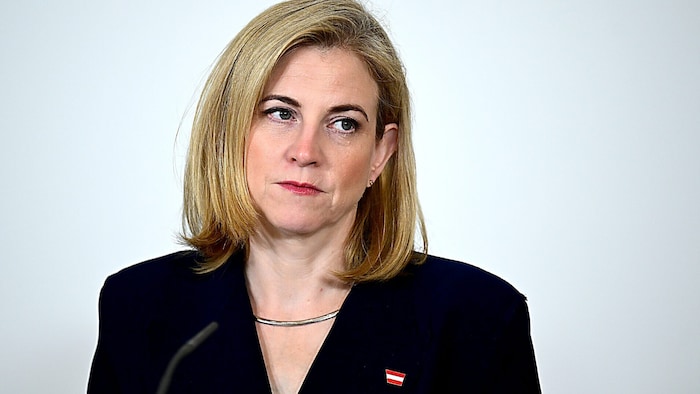 Die Kommission sieht die amtierende Außenministerin Beate Meinl-Reisinger nicht in der ...