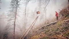 Ein Forstgerät zum Holztransport per Seil wie dieses stahl der Dieb.