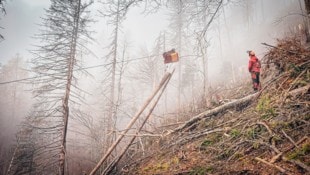 Beim Transport von Baumstämmen mittels Transportlift kam es zu dem schrecklichen Unfall ...